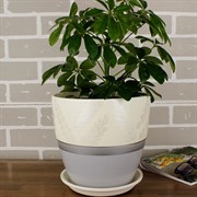 Набор горшков РОСПИСЬ бутон дижон желтый 4шт - фото 61976