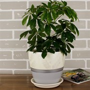 Набор горшков РОСПИСЬ бутон дижон желтый 4шт - фото 61977