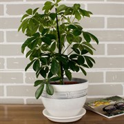 Набор горшков РОСПИСЬ венеция меандр 4шт - фото 61983