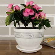 Набор горшков РОСПИСЬ венеция меандр 4шт - фото 61985