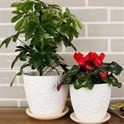 Горшок БУТОН 1,3л манго белый 14см - фото 62017