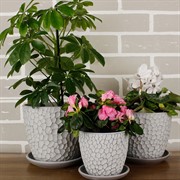 Горшок БУТОН 2,15л манго светло-серый 17см - фото 62027