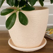 Горшок КРОКУС 2,3л гнездо бежевый 18см - фото 62040