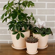 Горшок КРОКУС 2,3л гнездо бежевый 18см - фото 62041