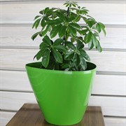 Кашпо DTG d32 с автополивом оливковый - фото 62090