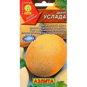 Дыня Услада - фото 62093