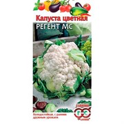 Капуста цветная Регент МС 0,2г - фото 62115