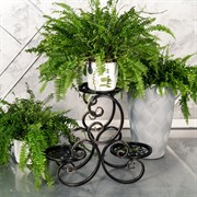 Подставка напольная для цветов на 3 горшка чёрно-золотая 401-018BG - фото 62254