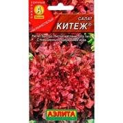 Салат Китеж листовой - фото 62276 Салат Китеж листовой - фото 62276