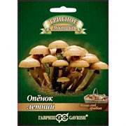 Опенок летний на древесной палочке 12шт - фото 62277