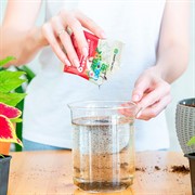 Удобрение БиоМастер Биогумат + 9 микроэлементов 20г - фото 62420