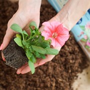 Почвобрикет Цветочный сад 10л - фото 62436