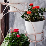 Подставка на подоконник на 8 цветов бело-золотая металл 14-908WG - фото 62446