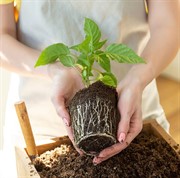 Почвобрикет Универсальный 70л - фото 62455