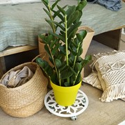 Подставка для цветов напольная ажурная белая на колёсиках 39см 402-002W - фото 62486