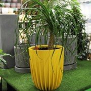 Горшок Сигма 18л медовый с вкладкой - фото 62724