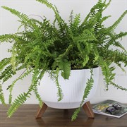 Кашпо РОМА ЭКО Jumper на ножках 33х22см 12,4л белый - фото 62739