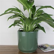 Горшок Дельта 25х23 9,8л нефрит с вкладкой - фото 62755