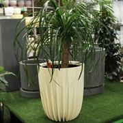 Горшок Сигма 18л ванильный с вкладкой - фото 62768