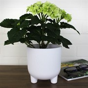 Горшок Фита 1,45л белый с вкладышем - фото 62774