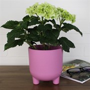 Горшок Фита 1,45л вереск с вкладышем - фото 62777