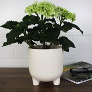 Горшок Фита 1,45л ваниль с вкладышем - фото 62780