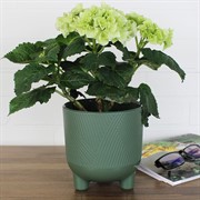 Горшок Фита 1,45л нефрит с вкладышем - фото 62782