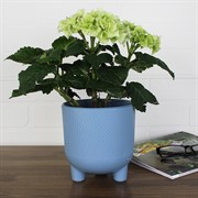 Горшок Фита 1,45л ментол с вкладышем - фото 62785