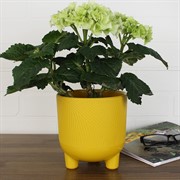 Горшок Фита 1,45л медовый с вкладышем - фото 62787