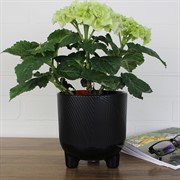 Горшок Фита 1,45л чёрный с вкладышем - фото 62793