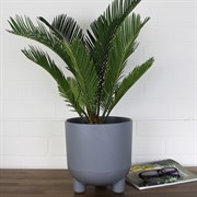 Горшок Фита 4,3л серый муссон с вкладышем - фото 62809