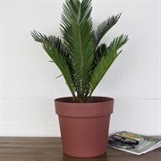 Кашпо Эко Протея 5,2л гранит - фото 62816