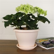 Горшок Гамма 1,6л пудра с поддоном - фото 62826