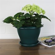 Горшок Гамма 2л малахит с поддоном - фото 62828