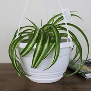 Горшок Глория 3,3л белый - фото 62836