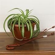 Горшок Глория 3,3л терракот - фото 62839