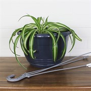 Горшок Глория 6л антрацит - фото 62856