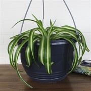 Горшок Глория 6л антрацит - фото 62857