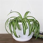 Горшок Глория 6л белый - фото 62861