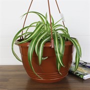 Горшок Глория 6л терракот - фото 62869