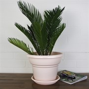 Горшок Милано 4,5л пудра - фото 62878