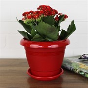 Горшок Фестона 1,6л красный с поддоном - фото 62918