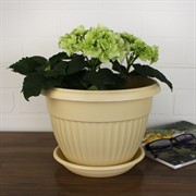 Горшок Флора 4л бежевый с поддоном - фото 62924