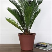 Кашпо Эко Лотос 2,5л гранит - фото 62928