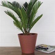 Кашпо Эко Конус 3л гранит с дренажным дном - фото 62931