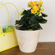 Кашпо Нежность 3л кремовый - фото 63002