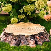 Крышка люка декоративная Секвойя малая U09178 - фото 63041