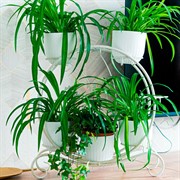 Подставка на подоконник под цветы на 8 кашпо металл белая 41-012W - фото 63067