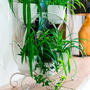 Подставка на подоконник под цветы на 8 кашпо металл белая 41-012W - фото 63068