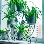 Подставка на подоконник под цветы на 8 кашпо металл белая 41-012W - фото 63069